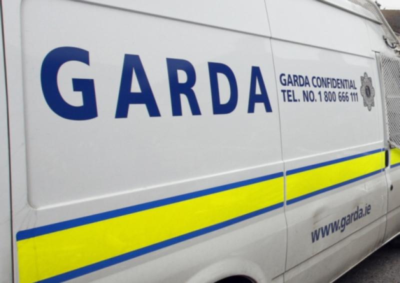 Gardai arrest 17 for immigration offences during Covid social welfare fraud search