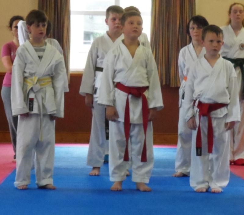 Dundalk Karate benefit from IKFC training 