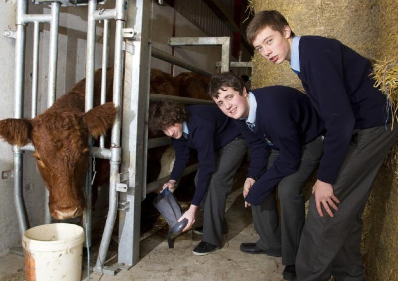 Bush scoop top awards at BT Young Scientist exhibition 