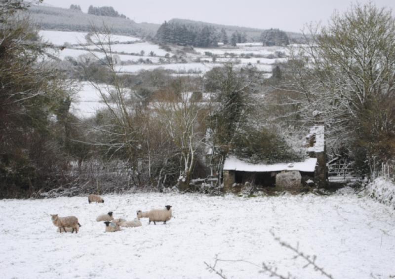 CHILLING: Weather warning issued - Dundalk to be hit hard in coming days