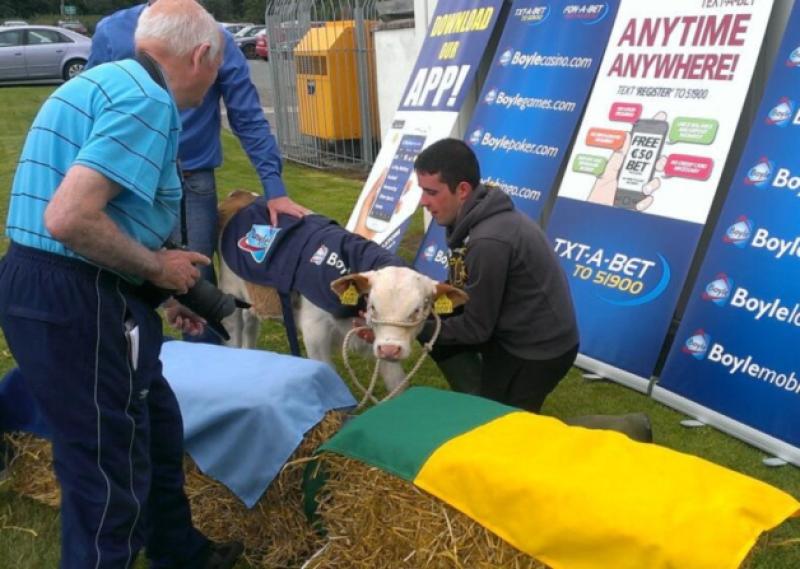 Pajo predicts Dubs semi-final win 