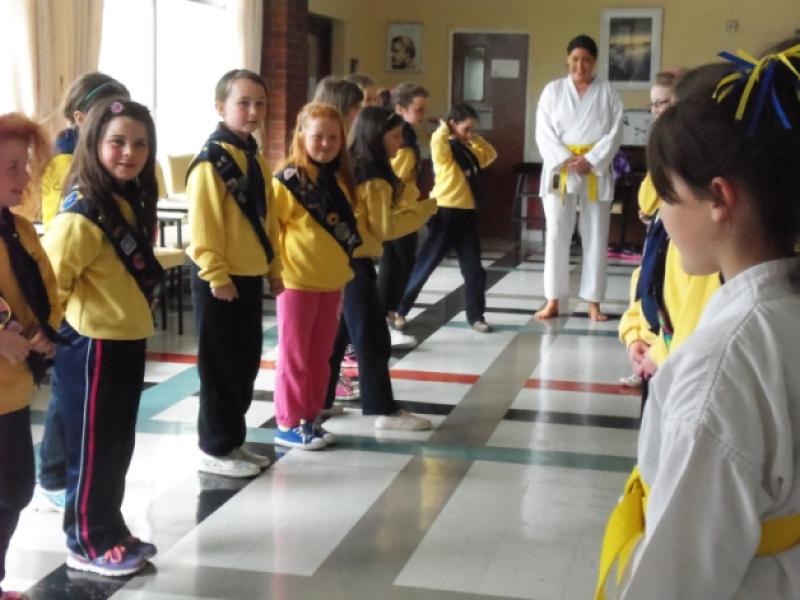 Dundalk Karate display their skills to Brownies 