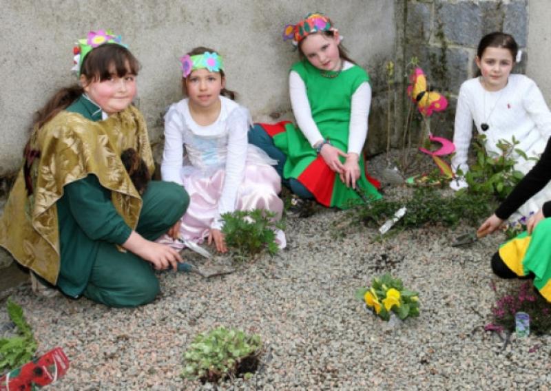 Ardee biodiversity project launched 
