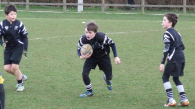 Murphy unfazed by the occasion in making his Ireland debut 