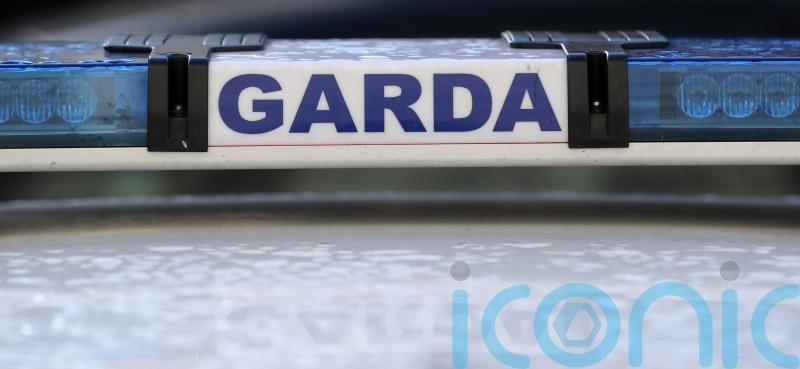 Two charged after gardai interrupt suspected burglary at Dublin industrial park