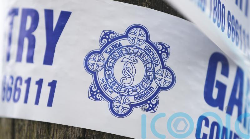 Man critical after attack in Co Kildare