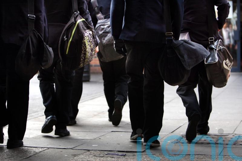 Calls to extend specialist counsellor project to post-primary level 
