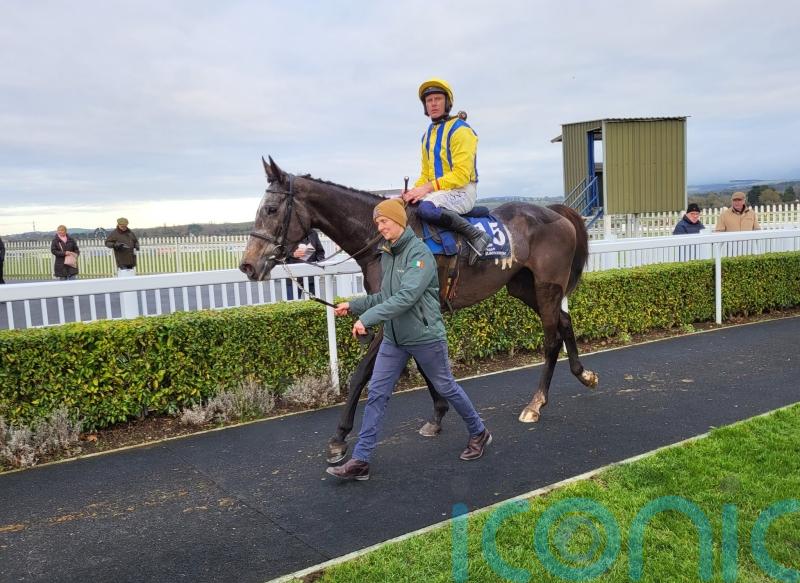 Bistro serves up a feast for Willie Mullins in victory at Naas