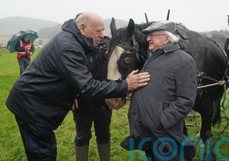 Irish president suggests climate changes &lsquo;not as simple&rsquo; as giving up meat