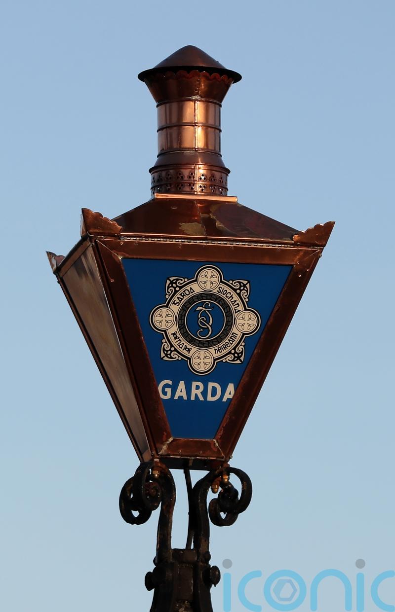 Teenage boy charged with murder of woman in Co Offaly