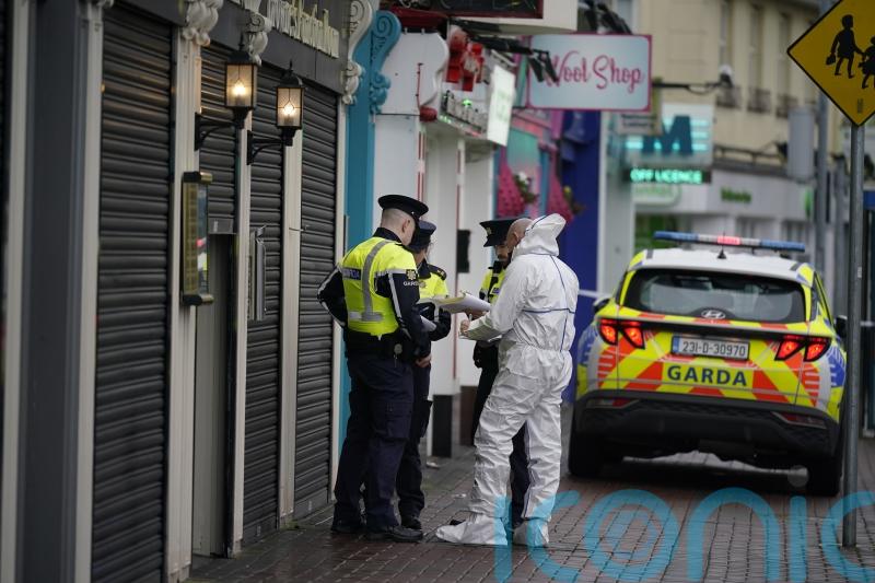 Garda investigating Tristan Sherry murder in Blanchardstown arrest two males