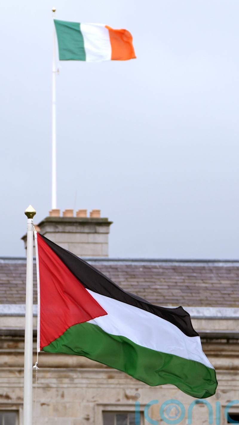 Palestinian flag taken down from Leinster House