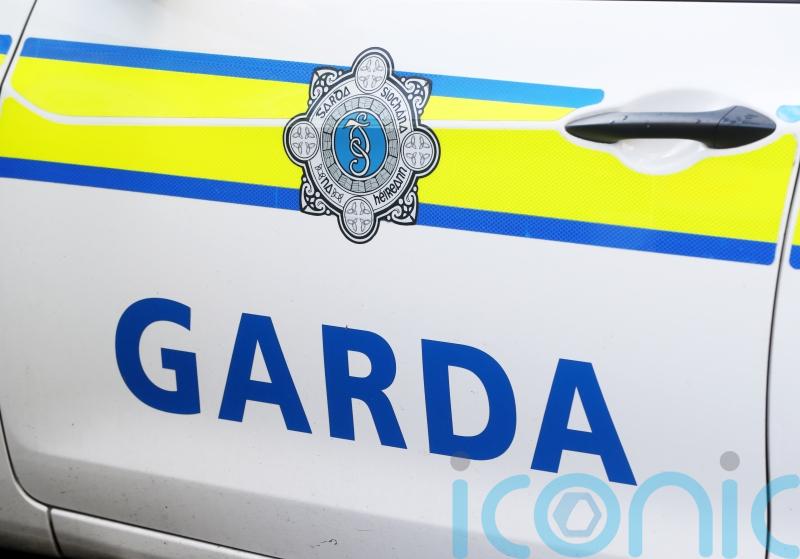 Probe launched into death of man in Co Wicklow