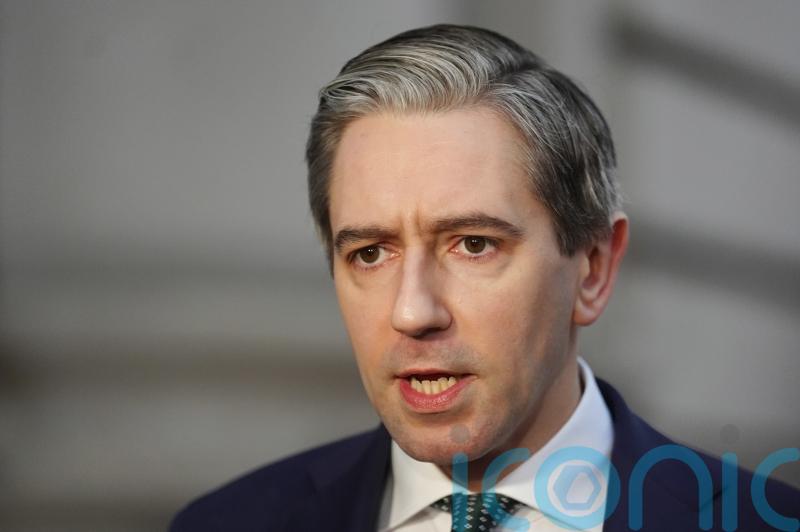Irish deputy premier to reaffirm ‘unwavering commitment’ to UN Lebanon mission