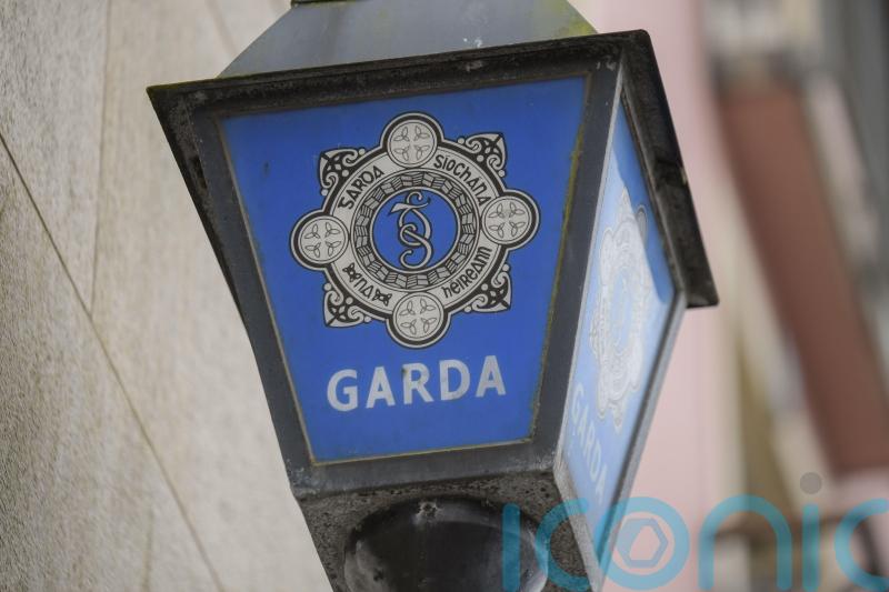 Political leaders condemn &lsquo;appalling&rsquo; attack on young garda in Dublin