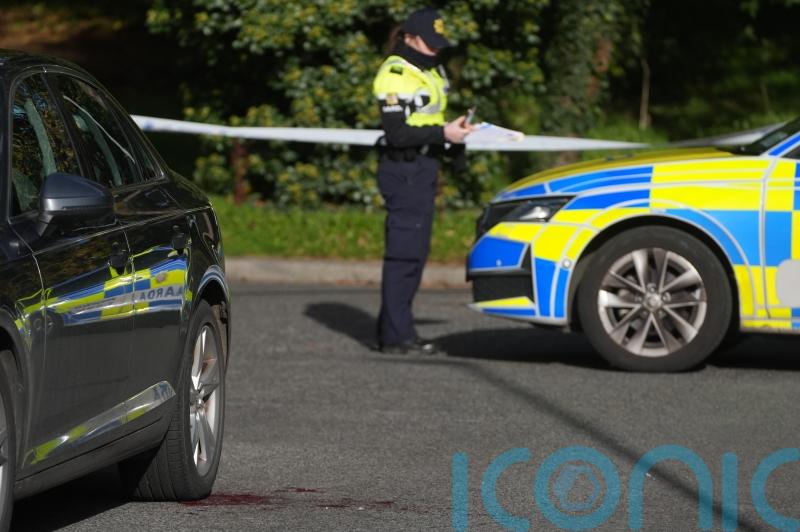 Man arrested following death in Tyrrelstown released without charge