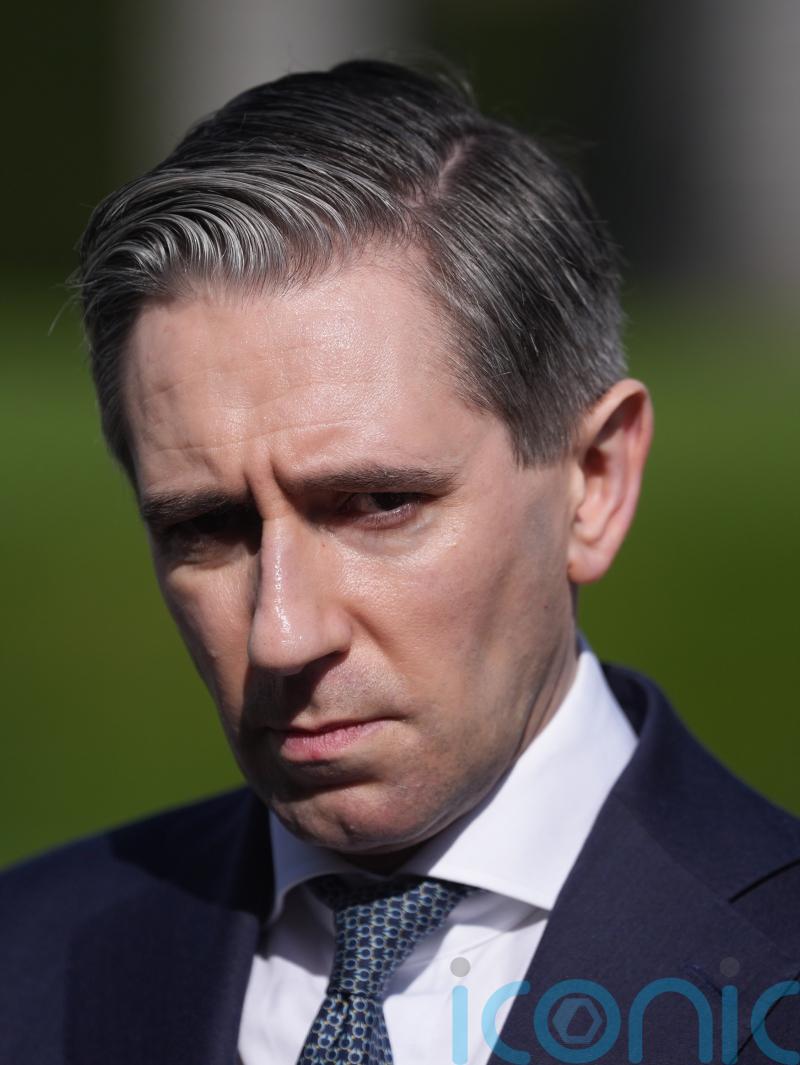 Digital wallet &lsquo;next step&rsquo; for social media age verification, Tanaiste says