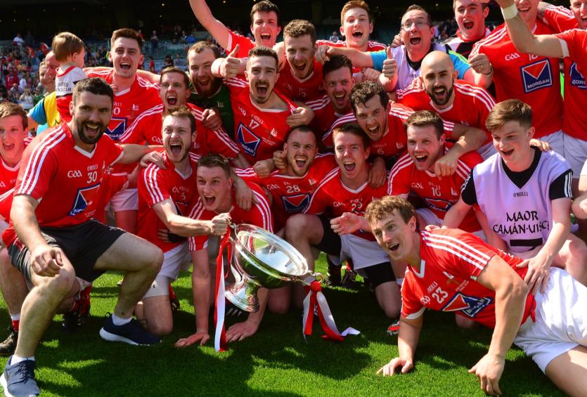 The Louth team celebrates after Lory Meagher Cup 
