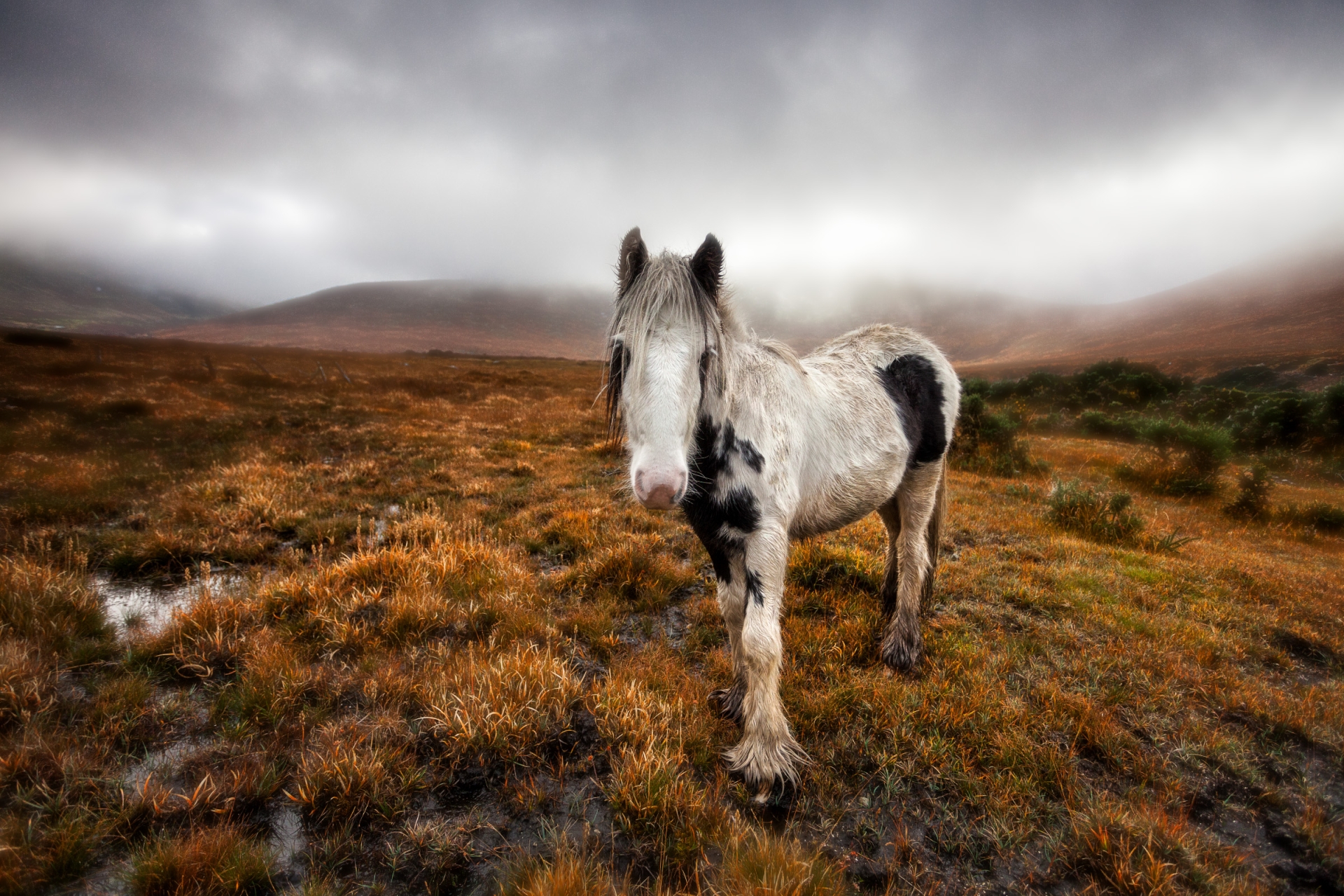 Dundalk Photographic Society annual exhibition opens next week